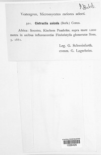 Image Associated With the Occurrence